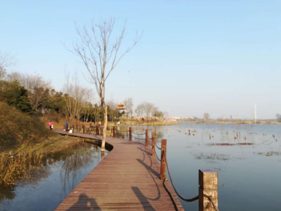 淮南湿地风光视频,淮南公园景点大全