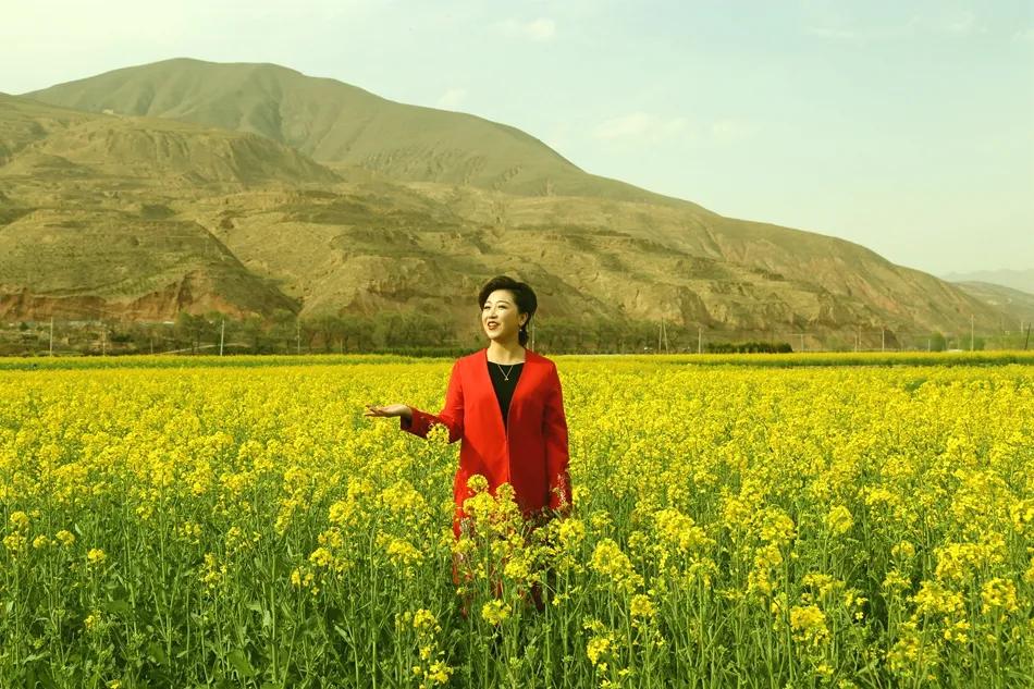 最美武山油菜花,湖口武山油菜花基地