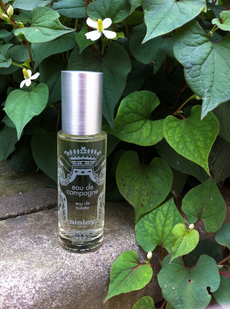 适合女生的入门级香水,推荐小哥哥香水