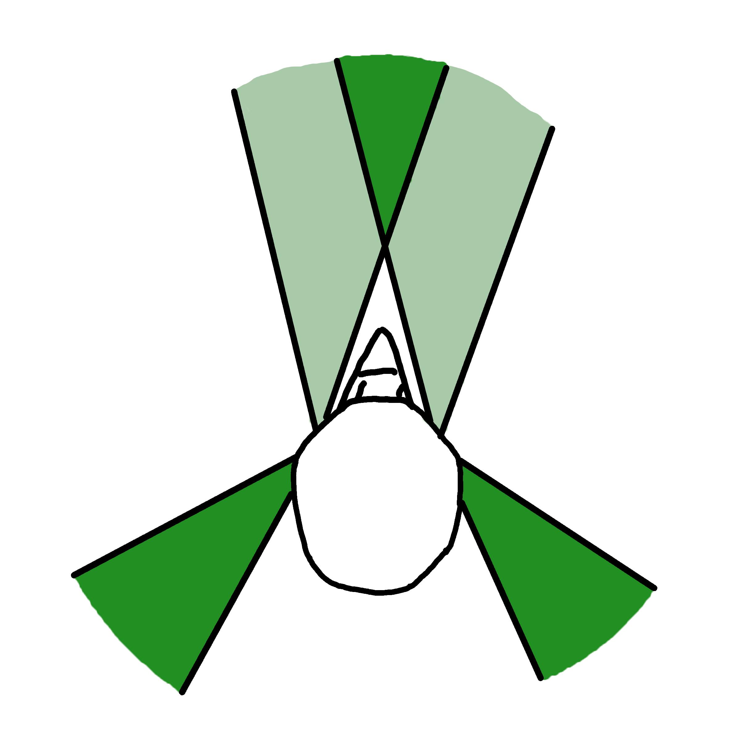 人的眼睛在动物界的水平,人的视力在动物界排名