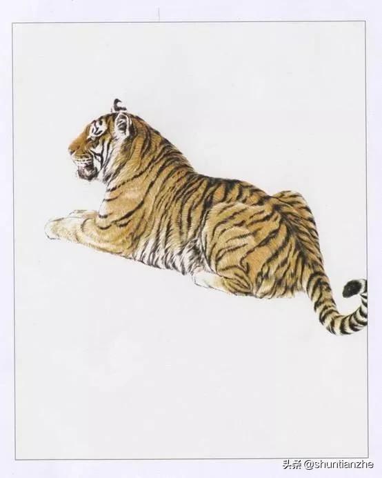工笔老虎技法教学视频,工笔老虎胸毛的撕毛法