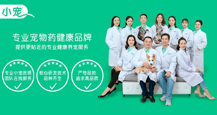 史努比是什么样的狗狗,长得像史努比的小型犬