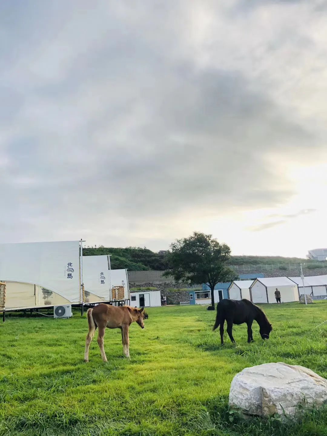 大连夏家河子海景房,大连夏家河子海滨浴场帐篷酒店