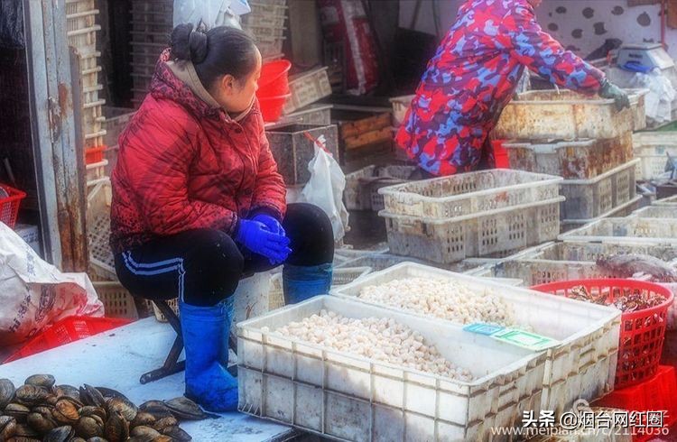 烟台莱阳海鲜早市,烟台老红利市场早市