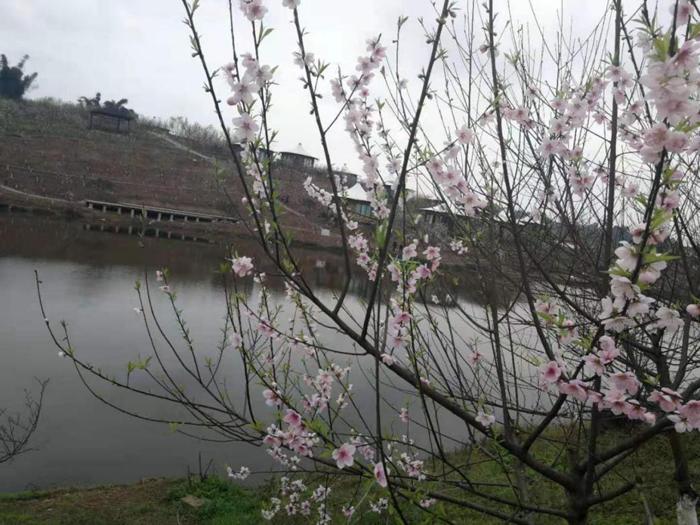 深度揭秘重庆鲁能让幸福生活与乡村发展共生共赢的建设密码