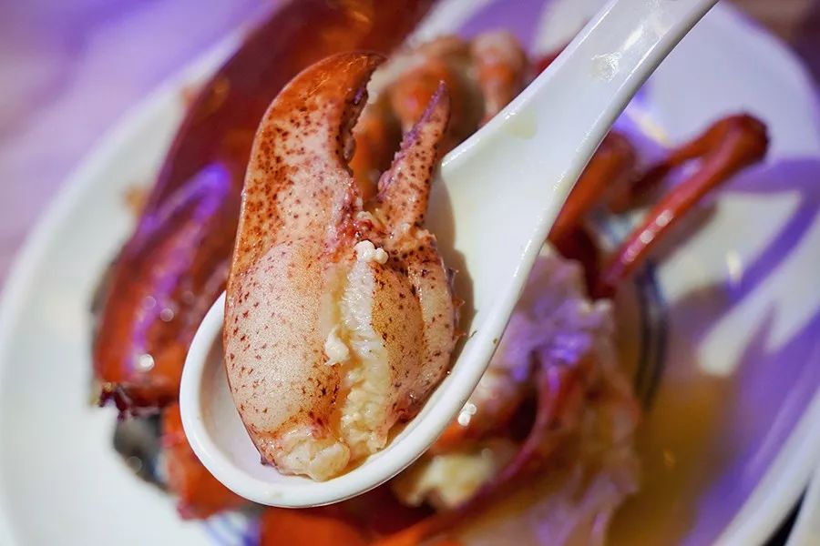 港式花胶鸡打边炉正宗做法,简易龙虾汤泡饭