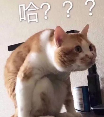 来中国捞金女孩,来中国捞金美女