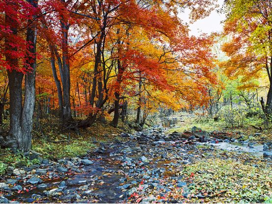 国庆八天怎么玩不遗憾,国庆七天能玩多少个小时