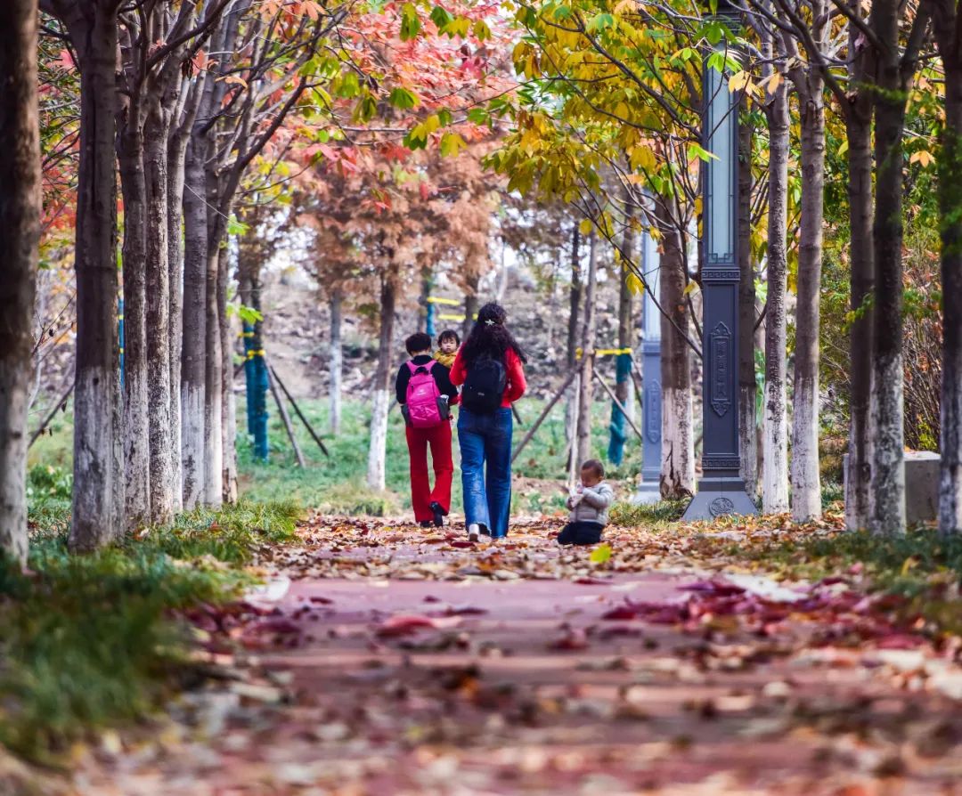 动物园、植物园、运动场、游乐场,洛阳从政坊大同坊,红得有道理