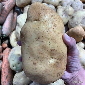 *疆新**到底为什么这么大大大大大？