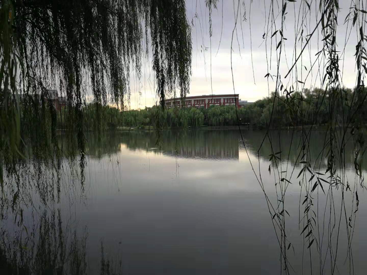 数字赋能让农业执法更智慧,农业执法创新做法