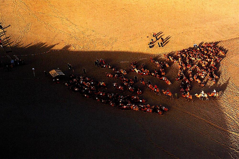 丝绸之路要经历哪些地方,丝绸之路真实原因