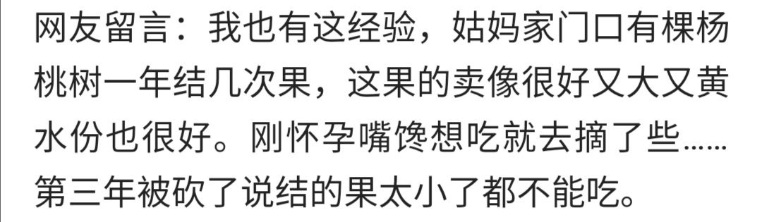 为什么孕妇不能摘树上的果实,孕妇摘过的果树有什么说法