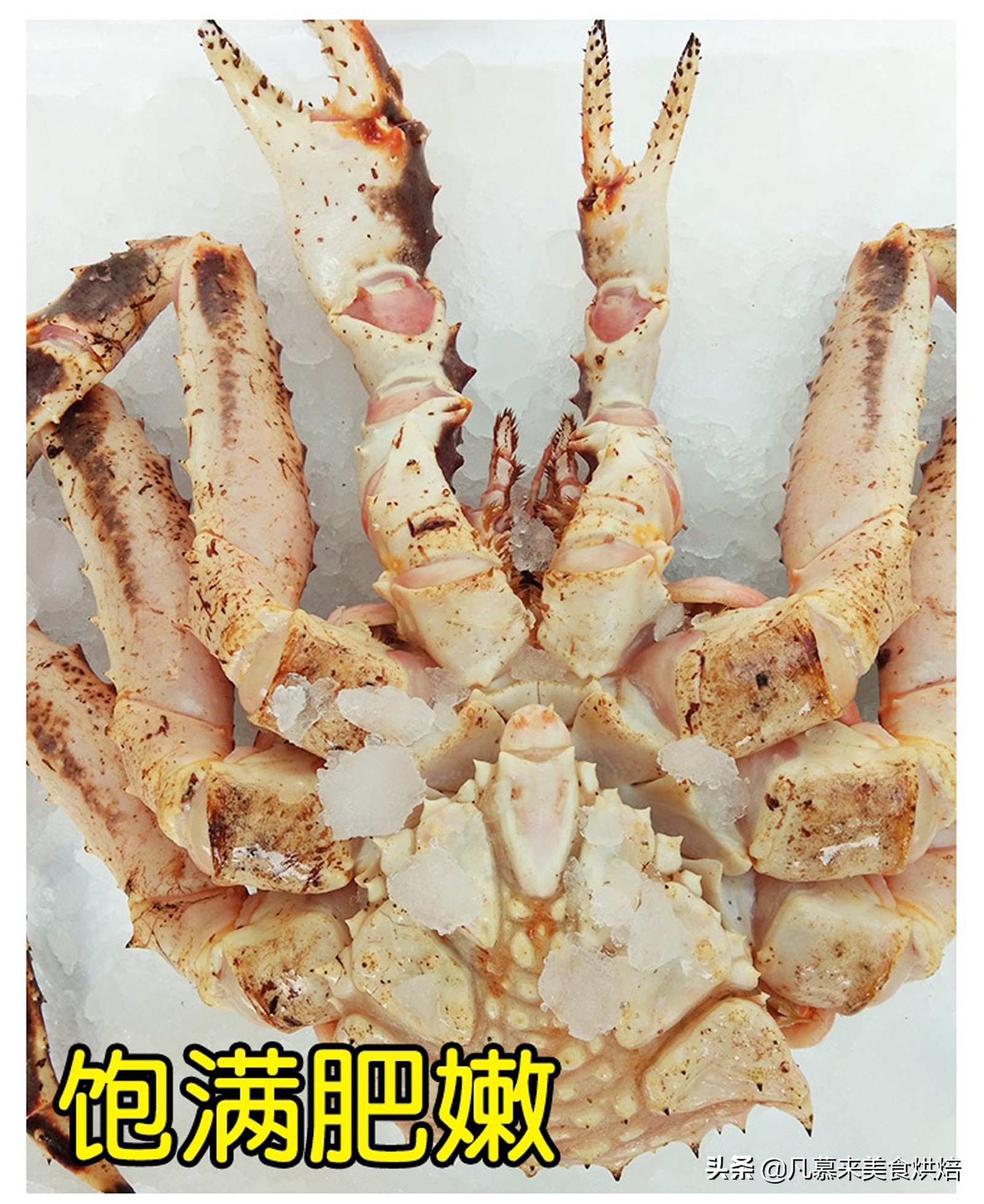帝王蟹怎么处理？如何选购帝王蟹？哪种好吃？帝王蟹的五种吃法