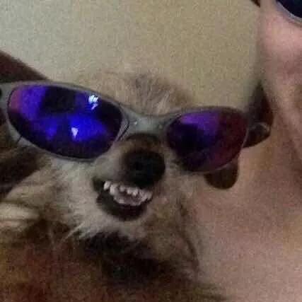 重复文件查找神器,免费文件内容搜索神器