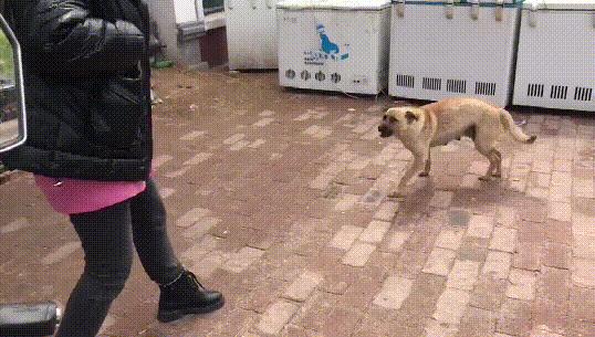 搞笑趣图眼见一定为实,搞笑趣图这才是真功夫啊