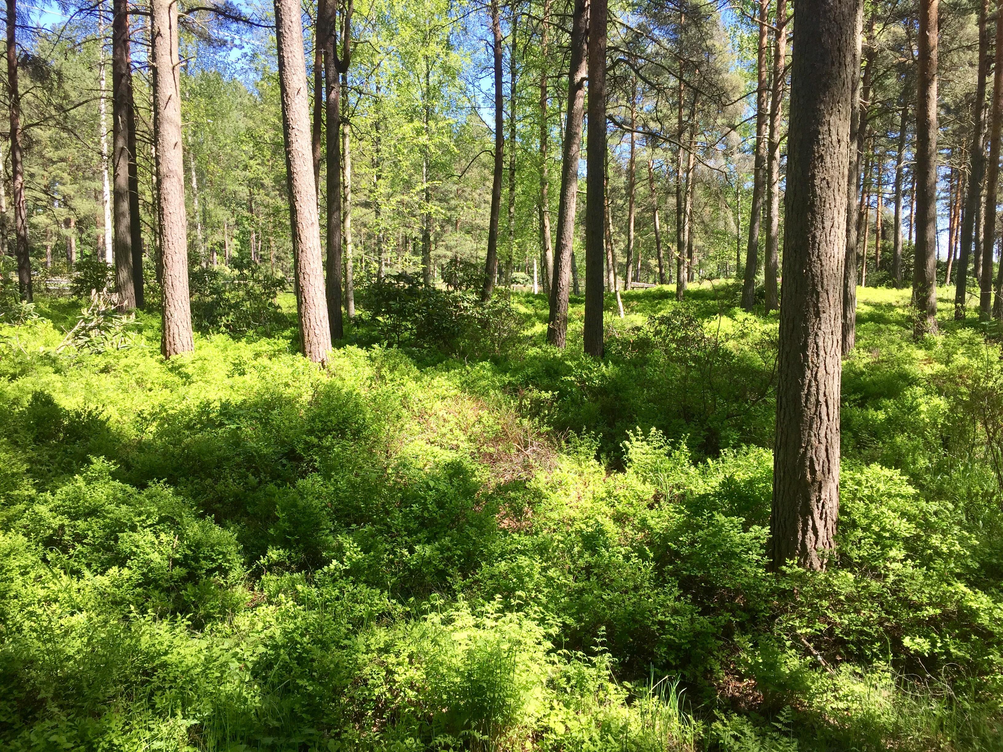 世界上无法用金钱买到的低调奢华是怎样的?