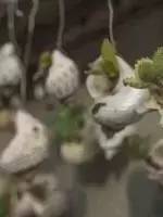 环创立体贝壳,贝壳墙环创