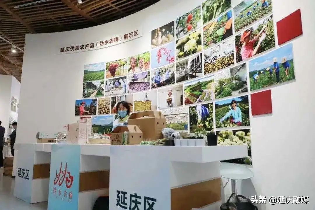 政协委员关于农业的提案,政协聚焦生态拿出更多提案建议