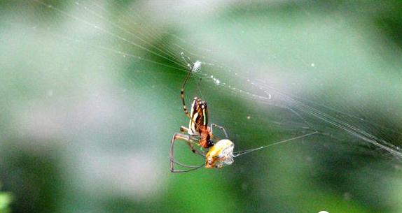 自学摄影胶片,自学照相机教程