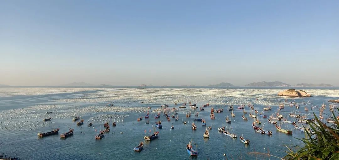 探访海参养殖基地,探访珍珠养殖基地