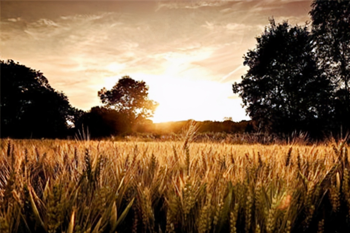 辛弃疾半夜写西江月,辛弃疾西江月写于哪一年