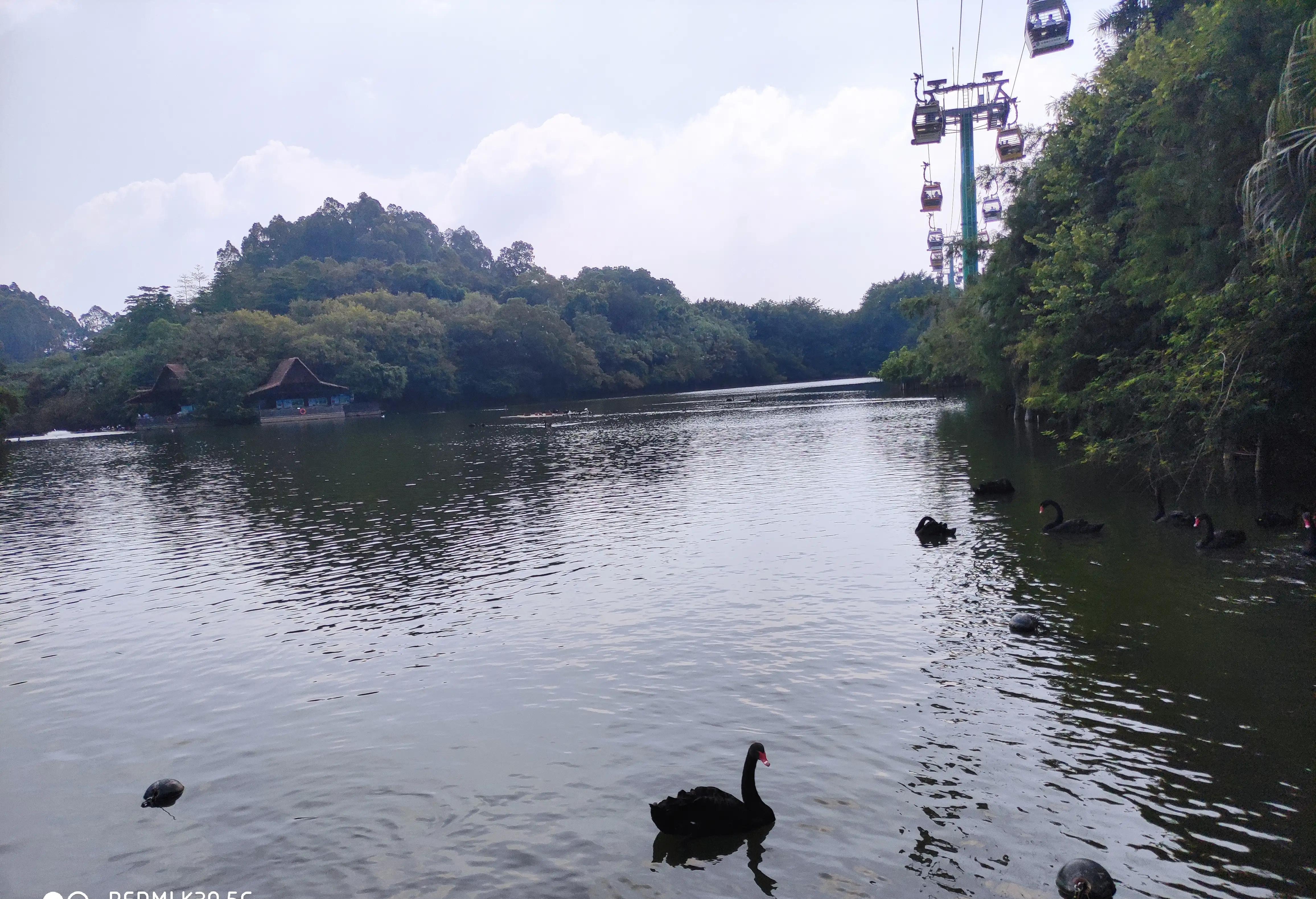 去汉溪长隆野生动物园,暑假广州长隆野生动物园攻略