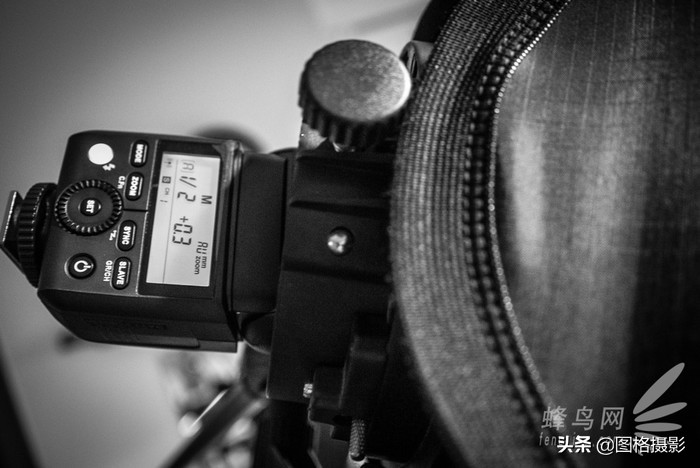 亮腹肌看迅丽神牛迅丽TT350F富士系统热靴闪光灯实拍体验