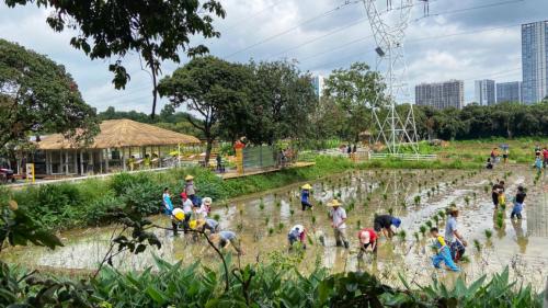 广州周末带娃好去处免费,广州遛娃的地方免费景点