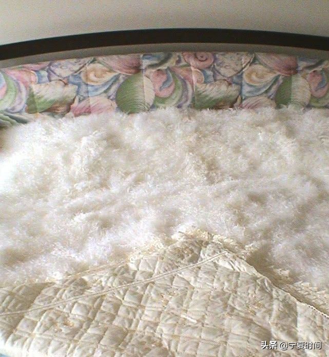 宁夏性价比高的特产现货供应,宁夏的特产有几种分别是哪些