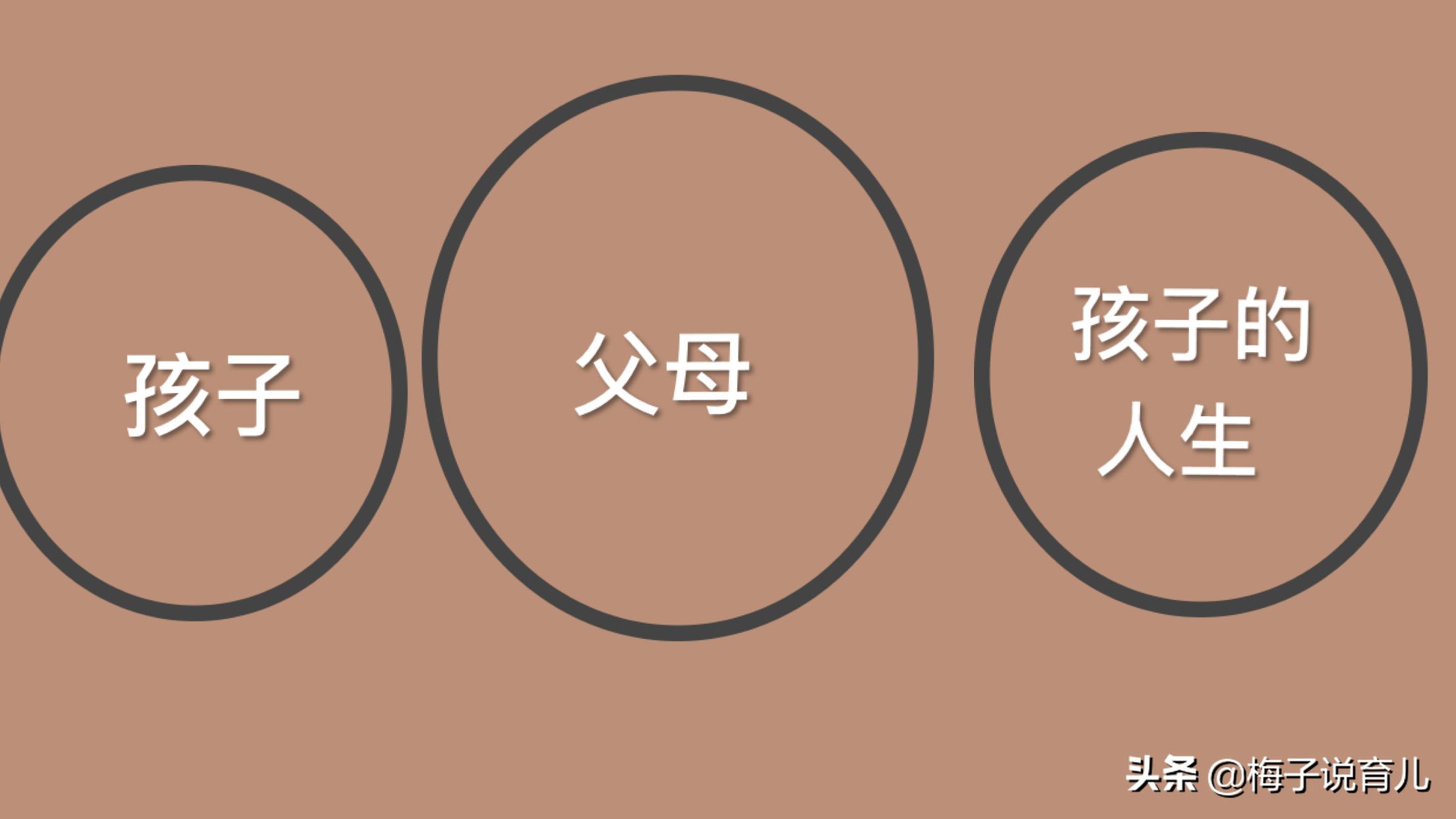 如何培养内心强大的孩子李玫瑾,如何培养内心强大的孩子视频