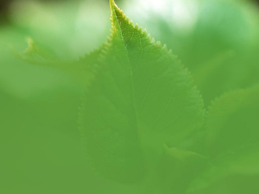 诺氟沙星处方单,每日用量左氧氟沙星