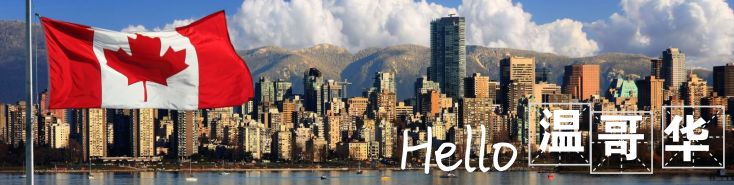 叙利亚的石油在哪里,叙利亚到底有什么东西