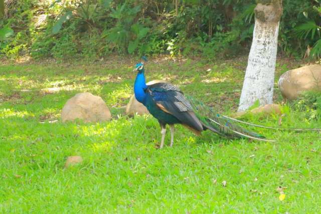东莞市东城区唐拉雅秀酒店,东莞唐拉雅秀酒店团购订房