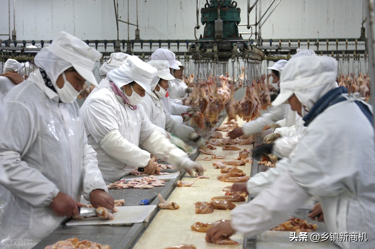 适合农村的小型加工厂回收,手工加工回收项目大全