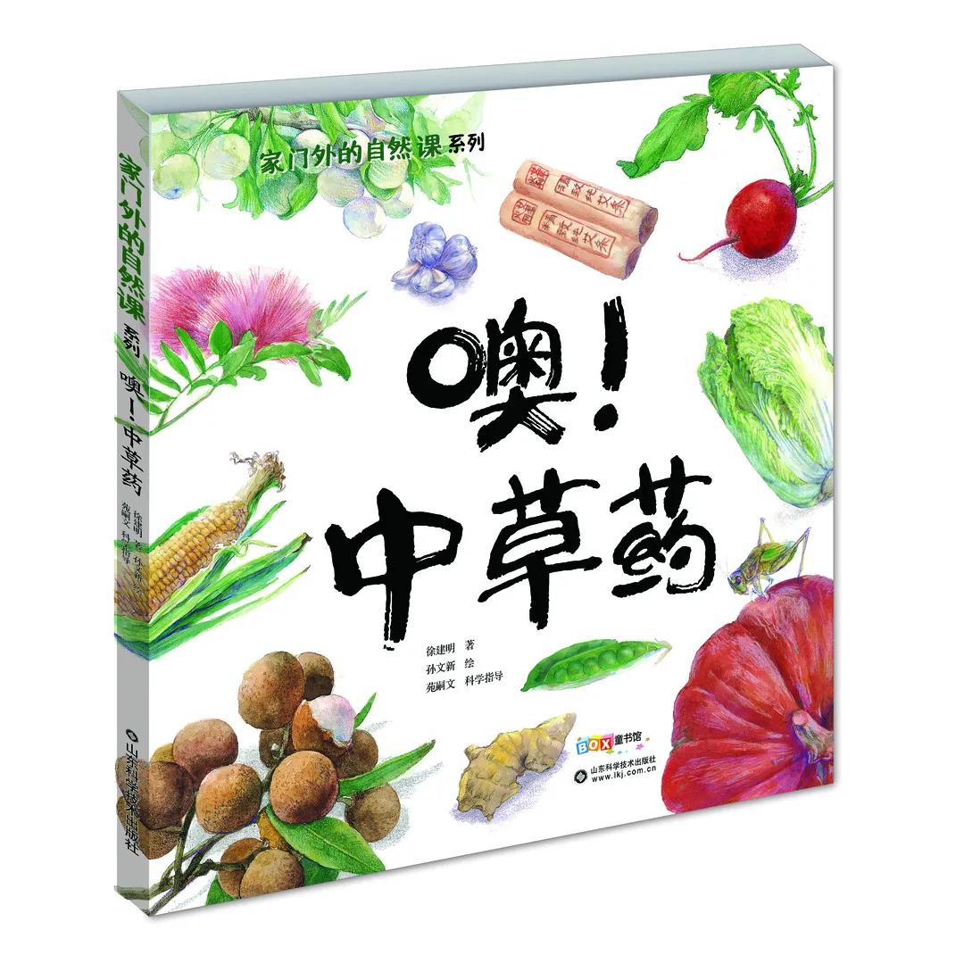 2019推荐小学生阅读书目,最新小学生高年级阅读推荐书目