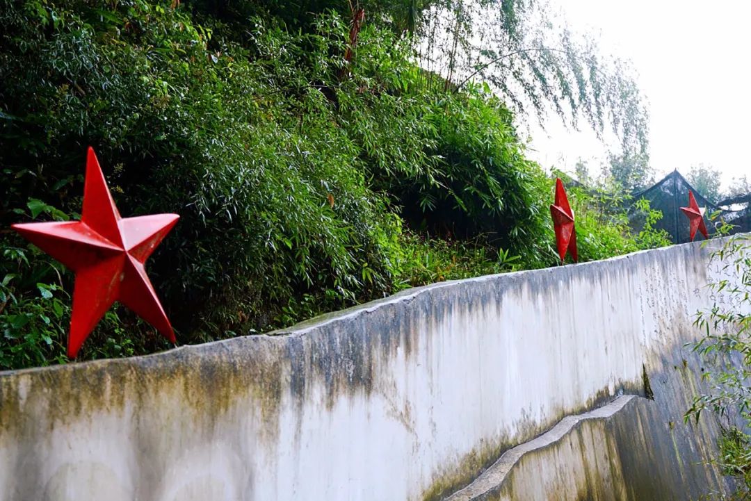 招募|穿过四季跑进福建，这一次跟着村跑去邂逅永春红