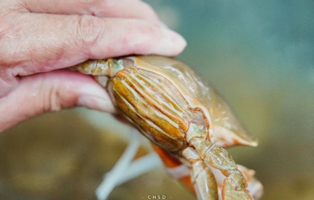 开渔啦一大波海鲜,开渔喽