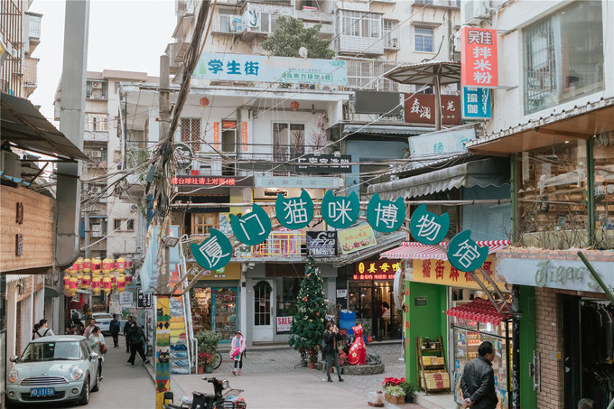 厦门旅游攻略两天两夜详细攻略,厦门旅游攻略一日游详细攻略