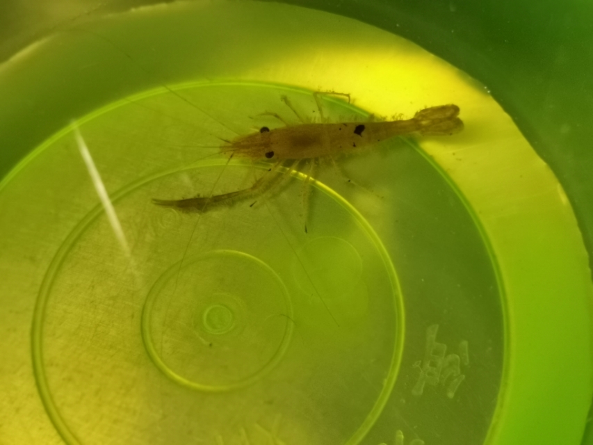 最值得去的郊野公园,北京莲石湖郊野公园