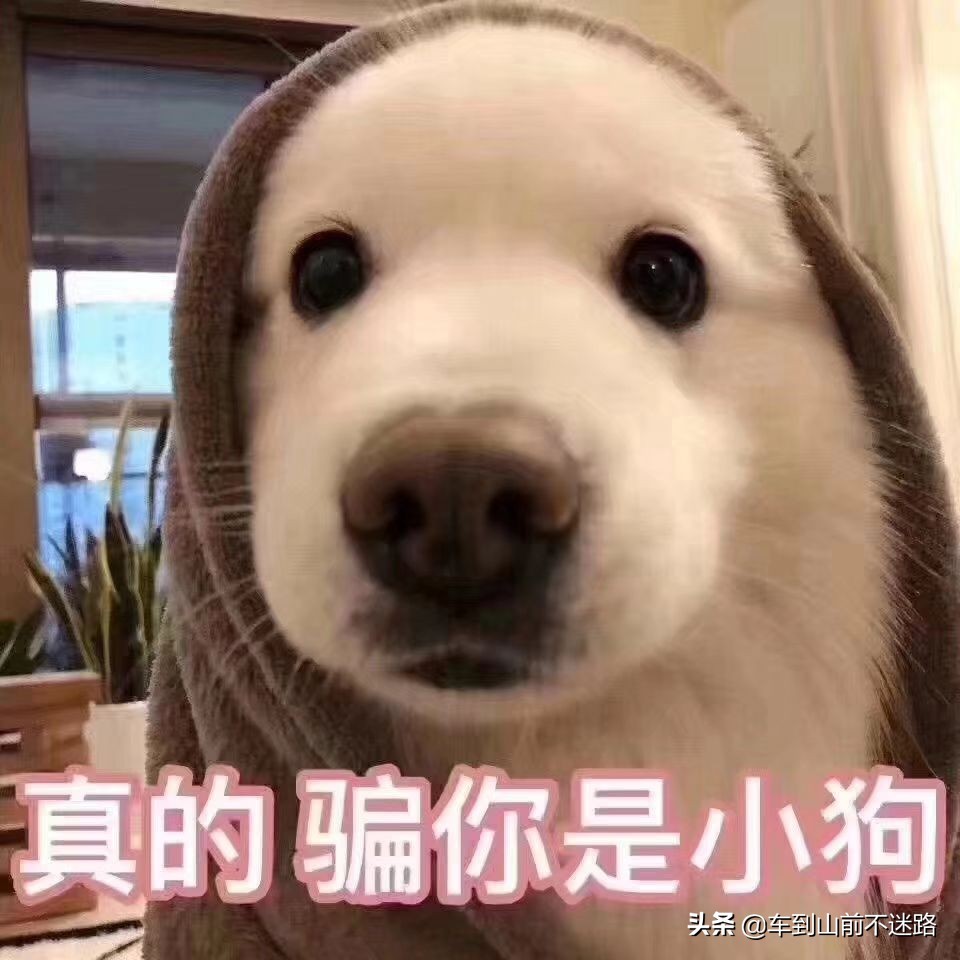 买车买贵好还是便宜好,新手买车要不要买贵的