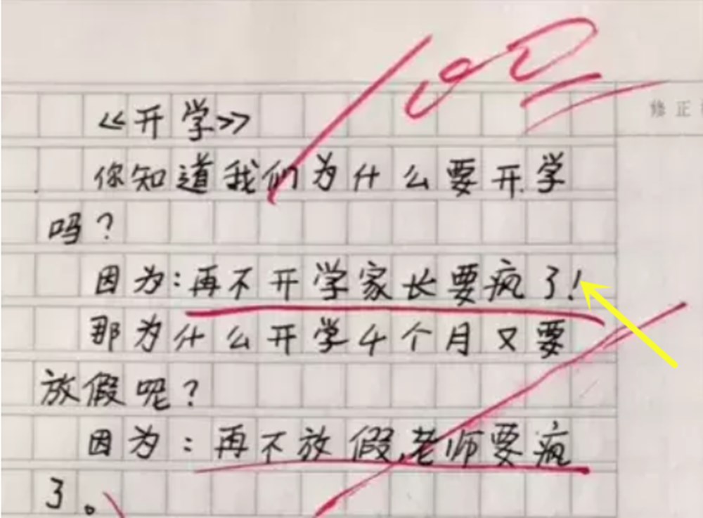 小学生作文火了老师无奈给满分,小学生搞笑作文笑得老师气疯了