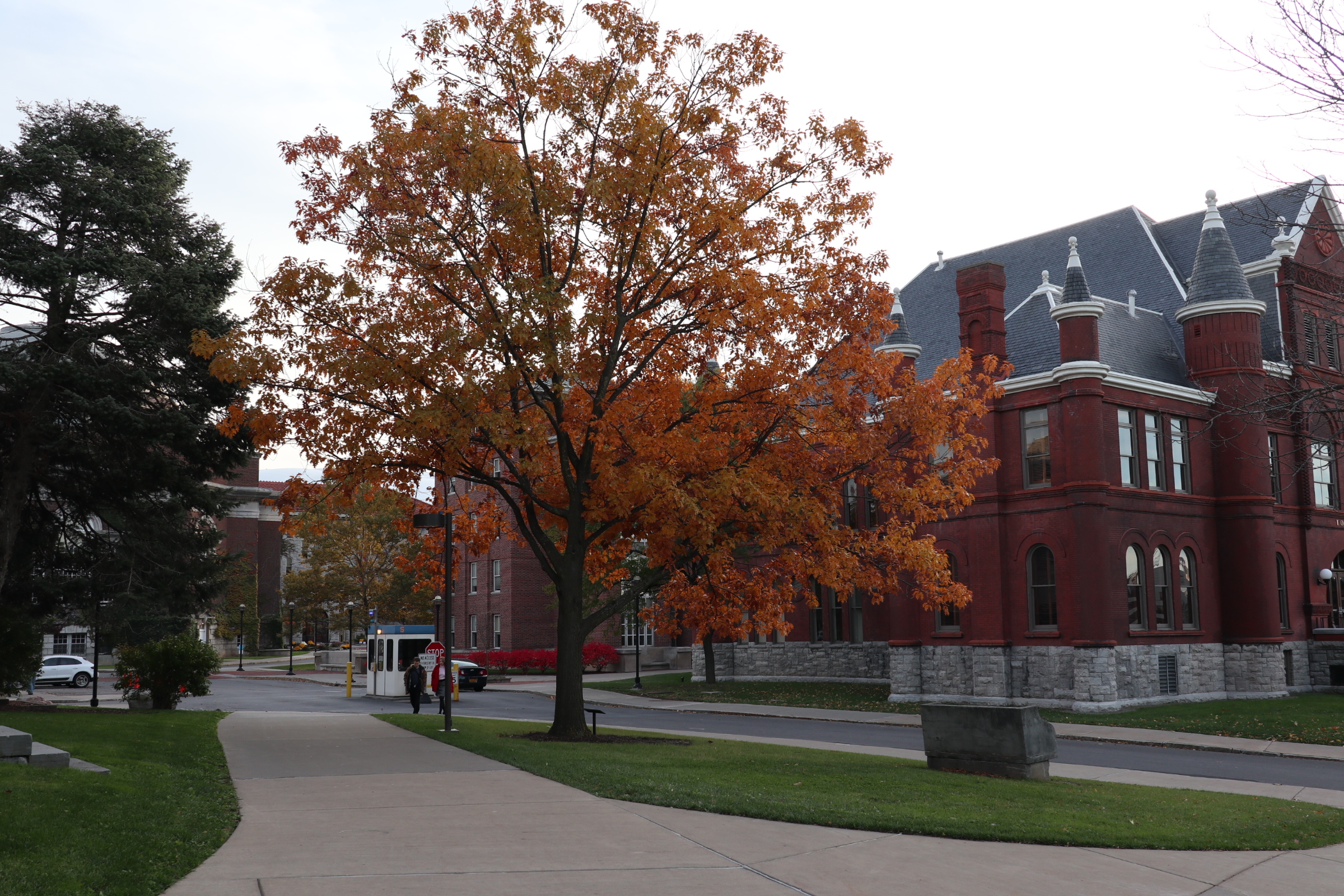 美国社区大学是什么？和普通大学有什么区别？