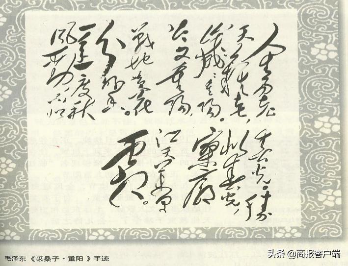 毛*东泽**书法艺术特点赏析