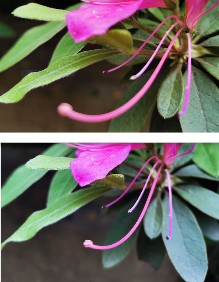 华为p30相机参数是多少,一张图告诉你华为p30拍照