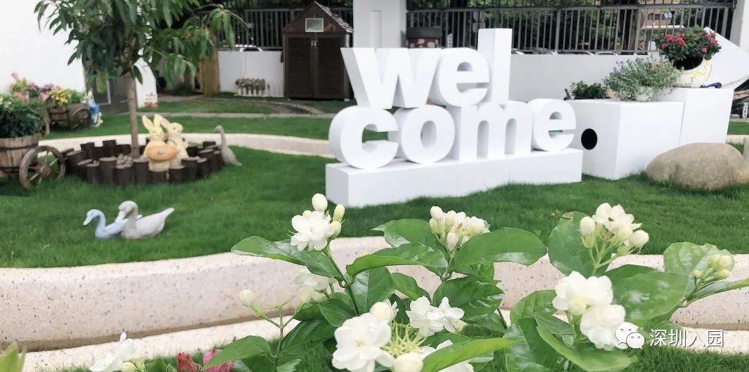 深圳高端幼儿园是哪些,深圳光明高端幼儿园