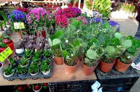 一两千块钱在镇上做什么买卖赚钱,有哪些生意可以靠差价赚钱