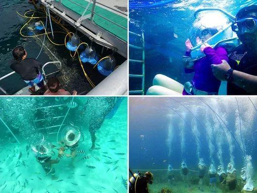 海上飞伞体验感受,亚庇海底漫步有危险吗