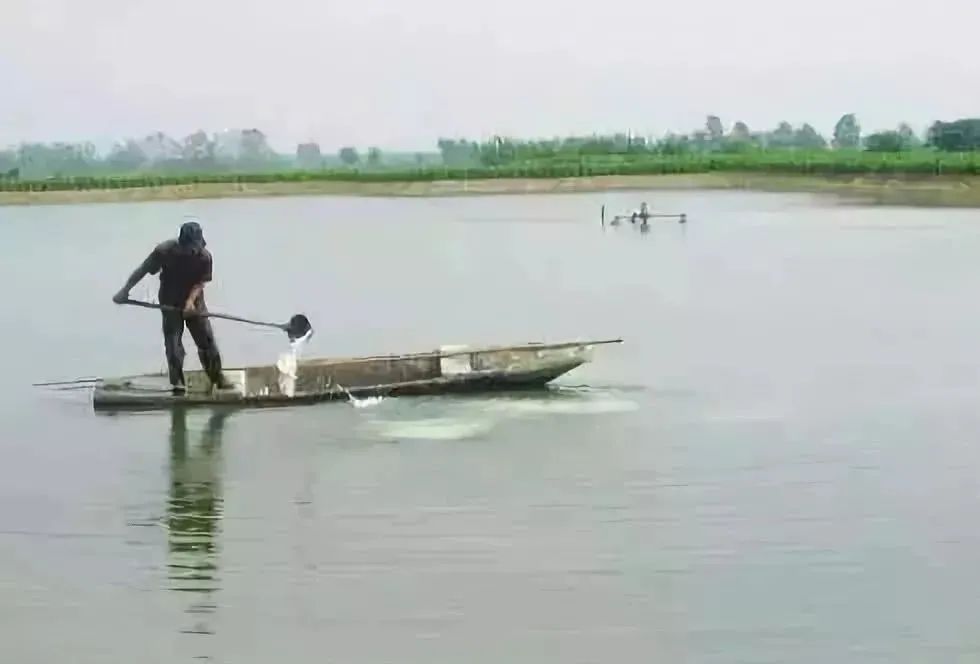 渔药标准解读系列,渔药标准