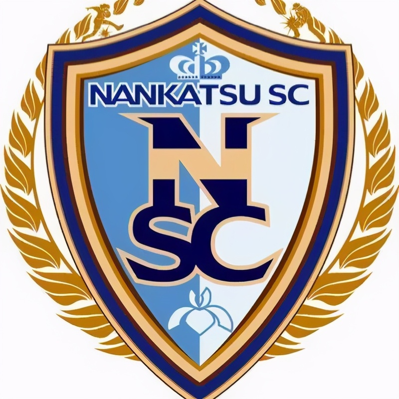 足球小将大空翼带领南葛三连冠,足球小将南葛队有谁